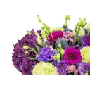 Box fialových květin